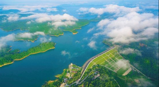 1647660525699713.png image.png