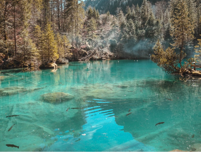 1654825986668592.jpg 4.jpg